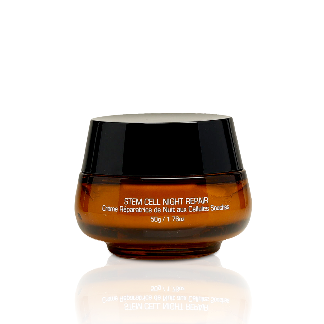 Introstem Stem Cell Night Repair