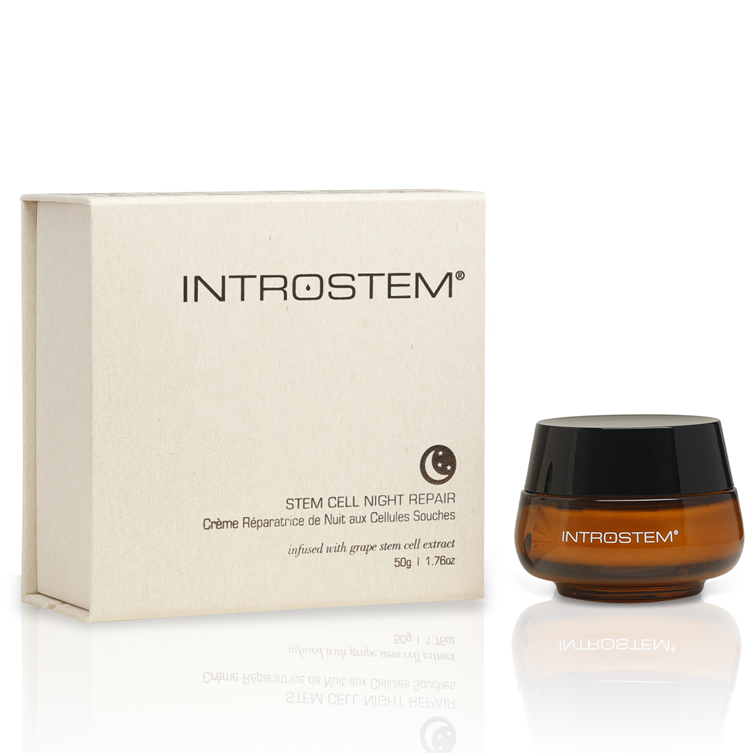 Introstem Stem Cell Night Repair
